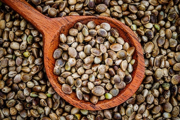 Hemp seed